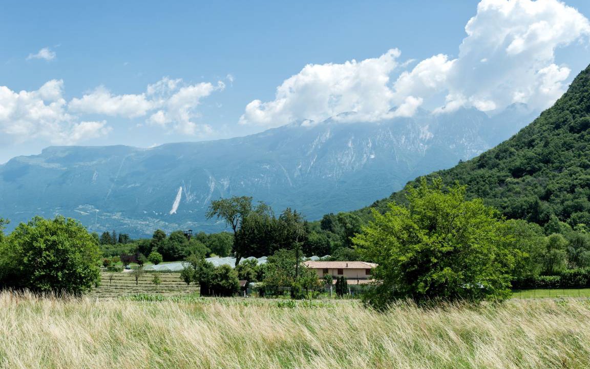 Photo of Others in Prabione