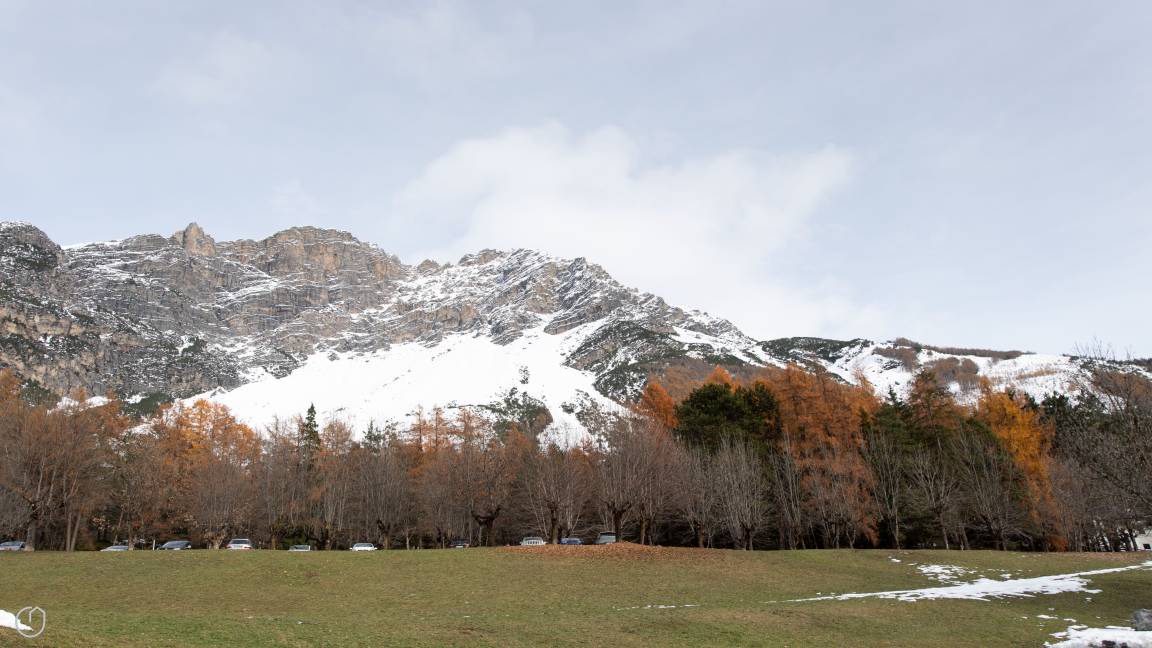 Photo of Others in Premadio
