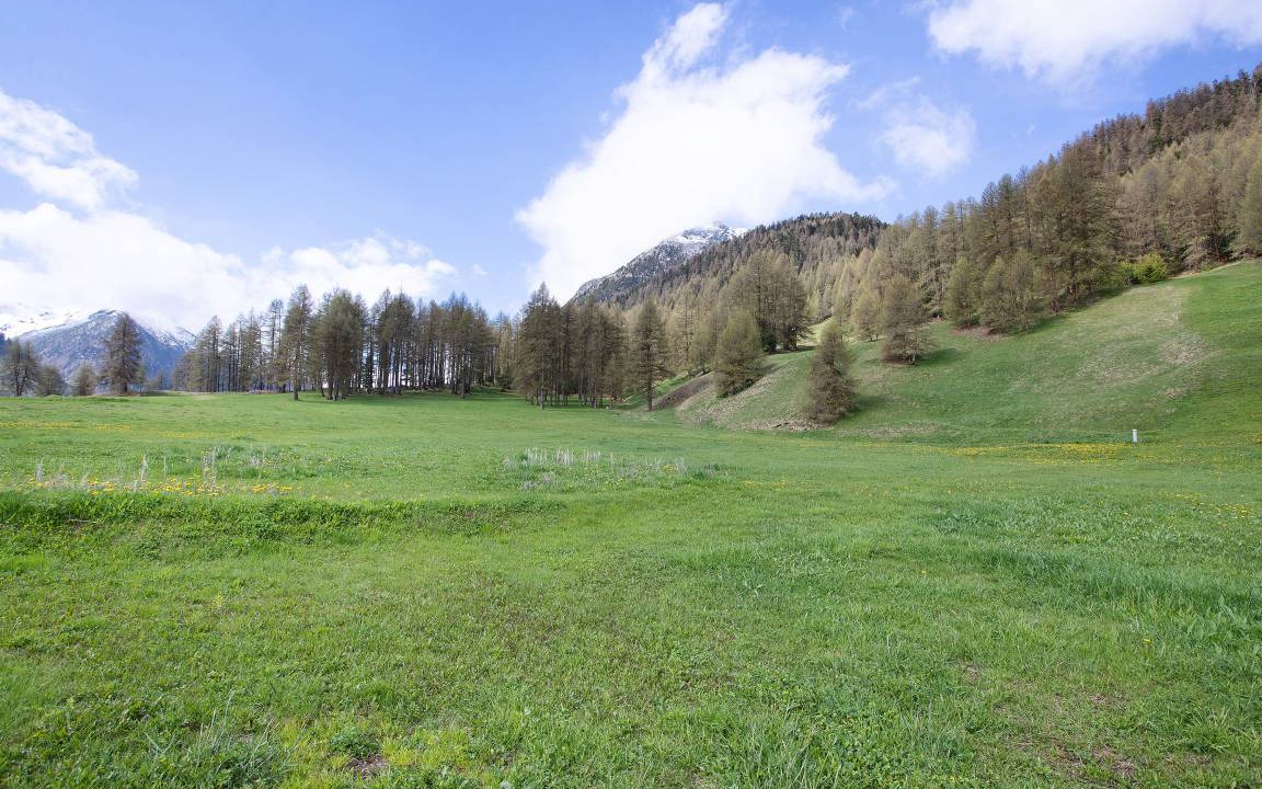 Photo of Others in Livigno