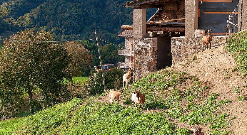 Photo of Buildings in San Giovanni Bianco
