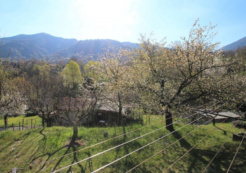 Photo of Others in Castello