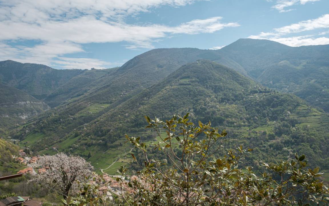 Photo of Others in Adrara San Martino