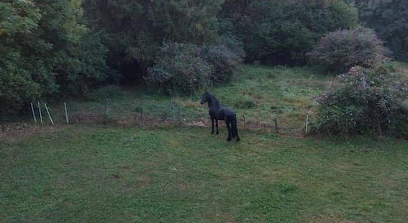 Photo of Others in Lanzo d'Intelvi