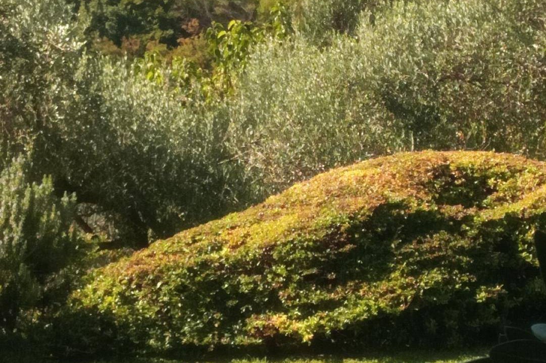Photo of Others in Renzano