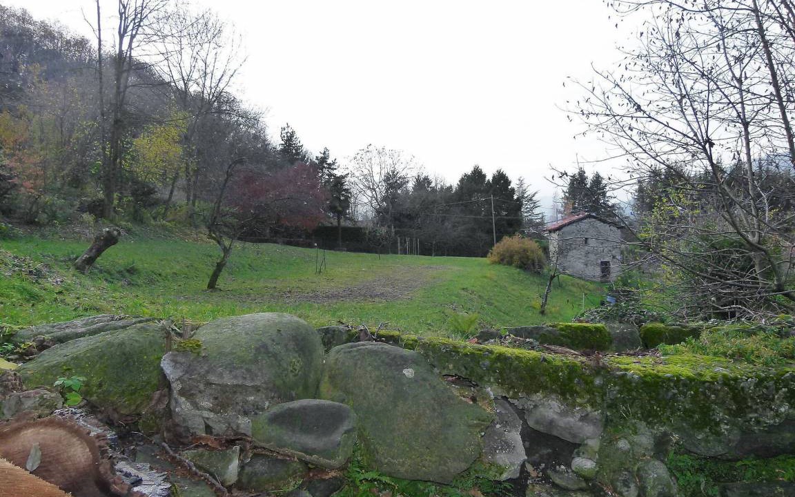 Photo of Others in Castello