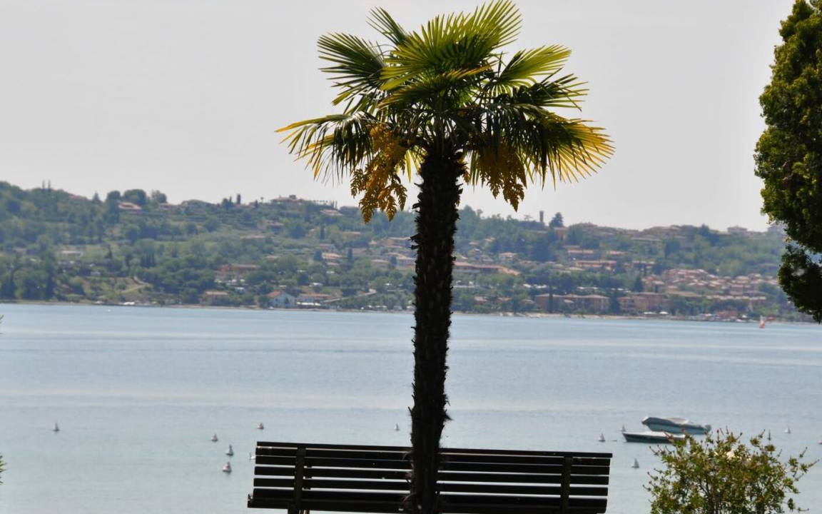 Photo of Others in San Felice del Benaco