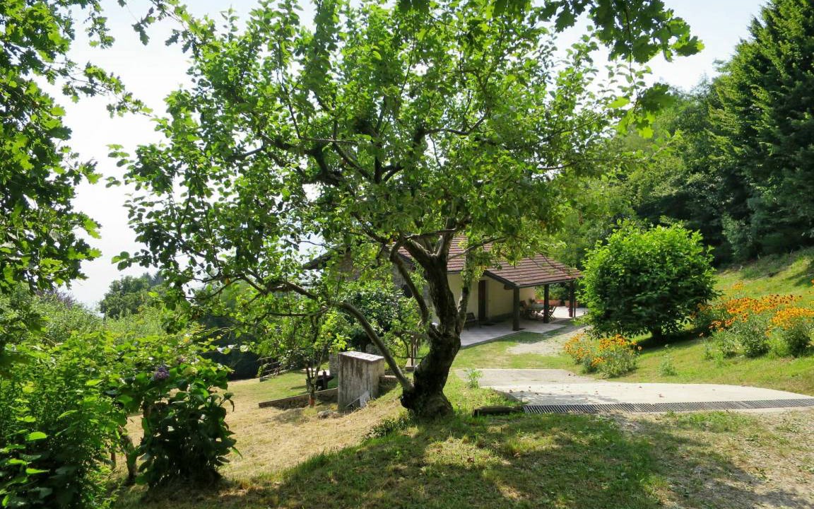 Photo of Others in Colmegna