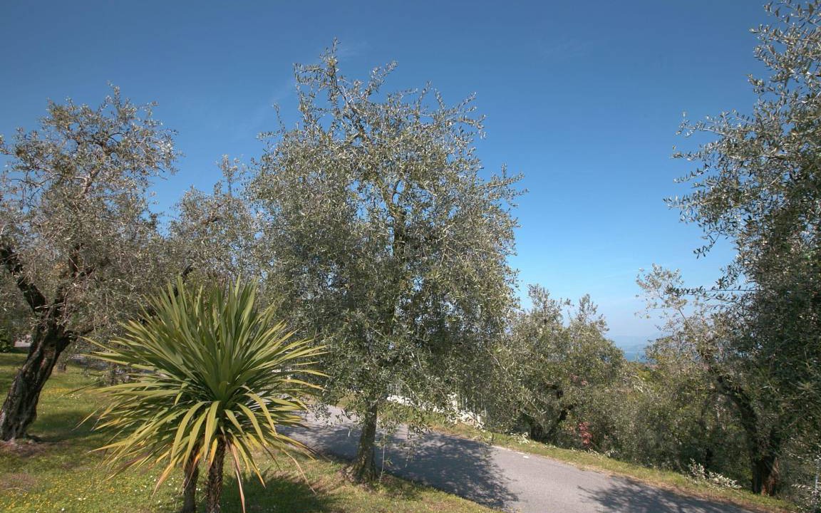 Photo of Others in Soiano del Lago