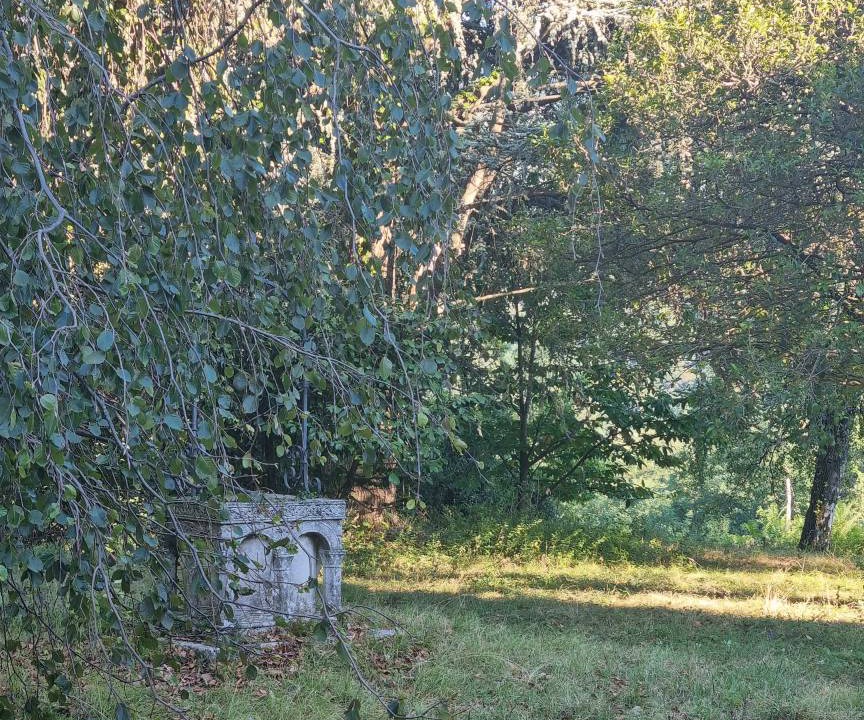 Photo of Others in Brenta