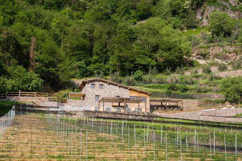 Photo of Others in Angolo Terme