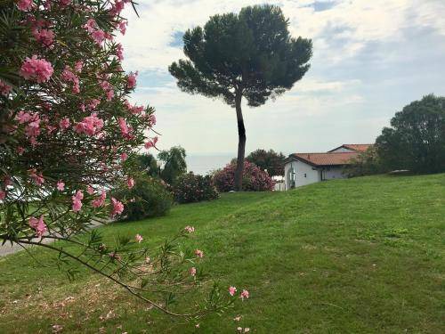 Photo of Others in Manerba del Garda