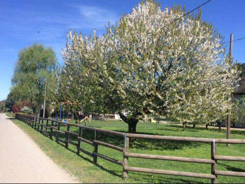 Photo of Outdoor in Somma Lombardo