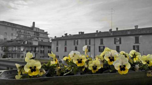 Photo of Others in Citta Bassa