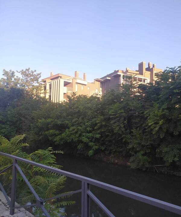Photo of Others in Ponte Nuovo