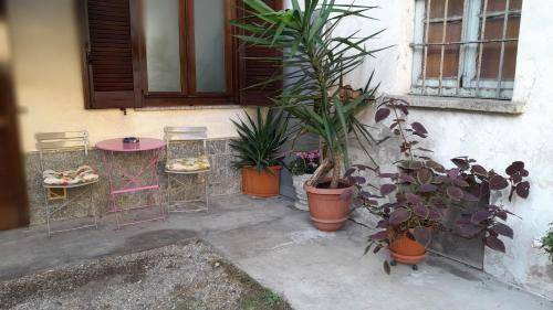 Photo of Others in Busto Arsizio