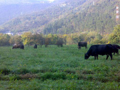 Photo of Others in Vobarno