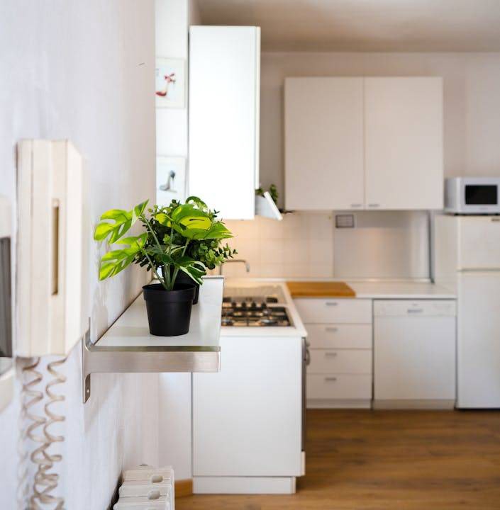 Photo of Kitchen in Varesine