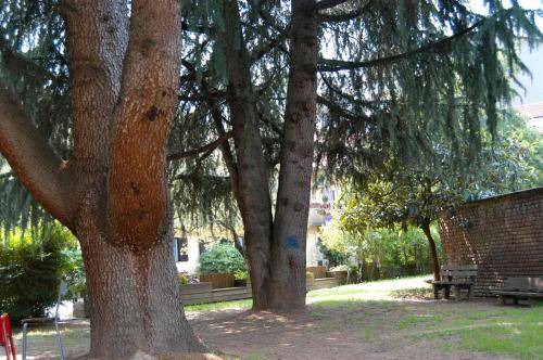 Photo of Others in Isola del Bosco - Delle Corti