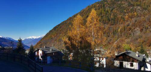 Photo of Others in Aprica