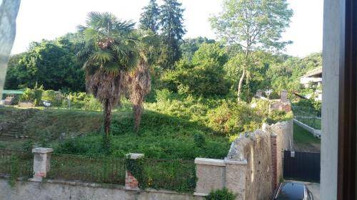 Photo of Others in Albate