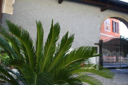 Photo of Others in Polpenazze del Garda