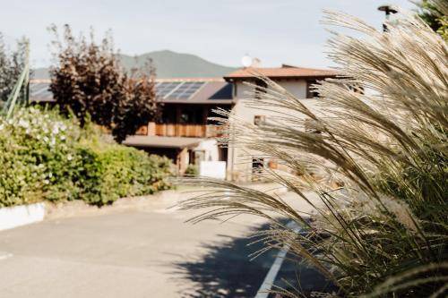 Photo of Others in Iseo