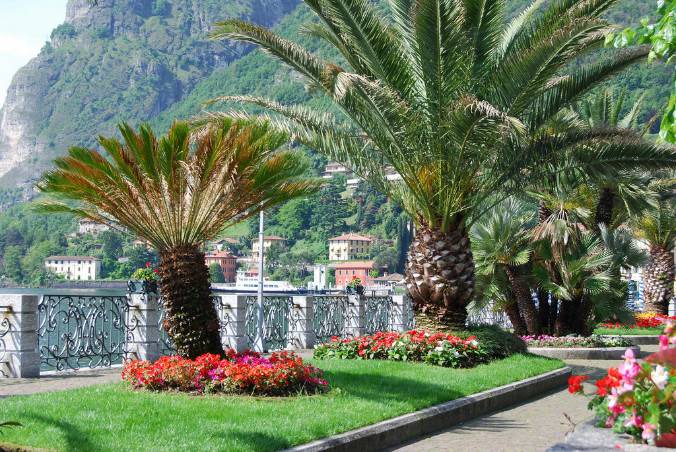 Photo of Others in Argegno
