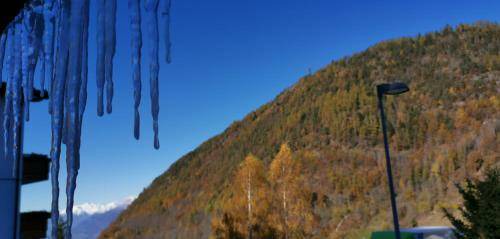 Photo of Others in Aprica