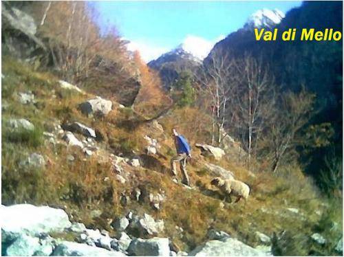 Photo of Others in Civo