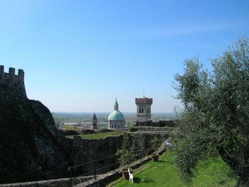 Photo of Outdoor in Crone