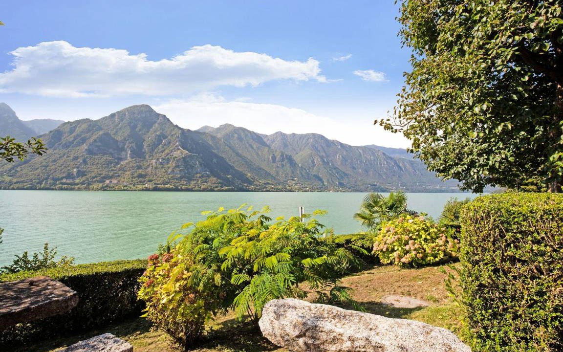 Photo of Others in Idro