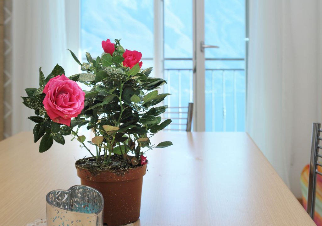 Photo of Livingroom in Arias