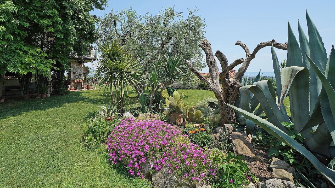 Photo of Outdoor in Castello
