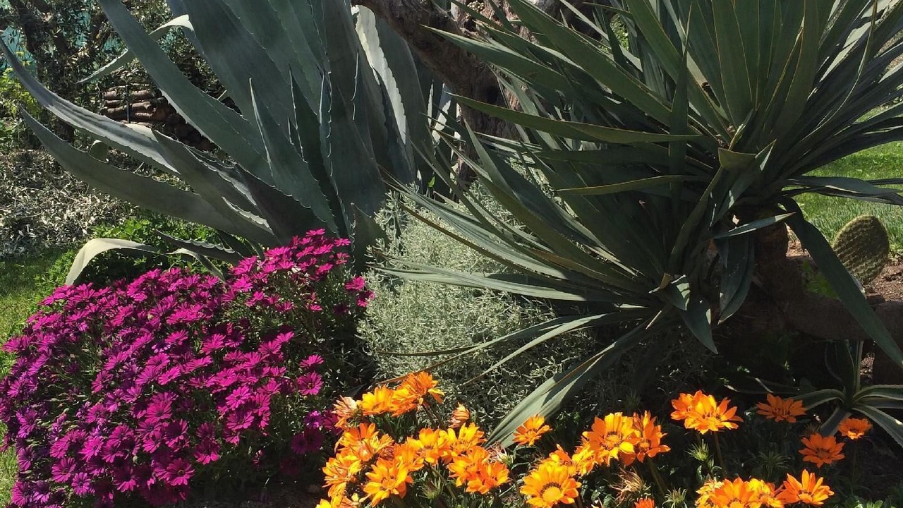 Photo of Outdoor in Castello
