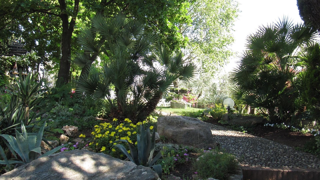 Photo of Outdoor in Castello