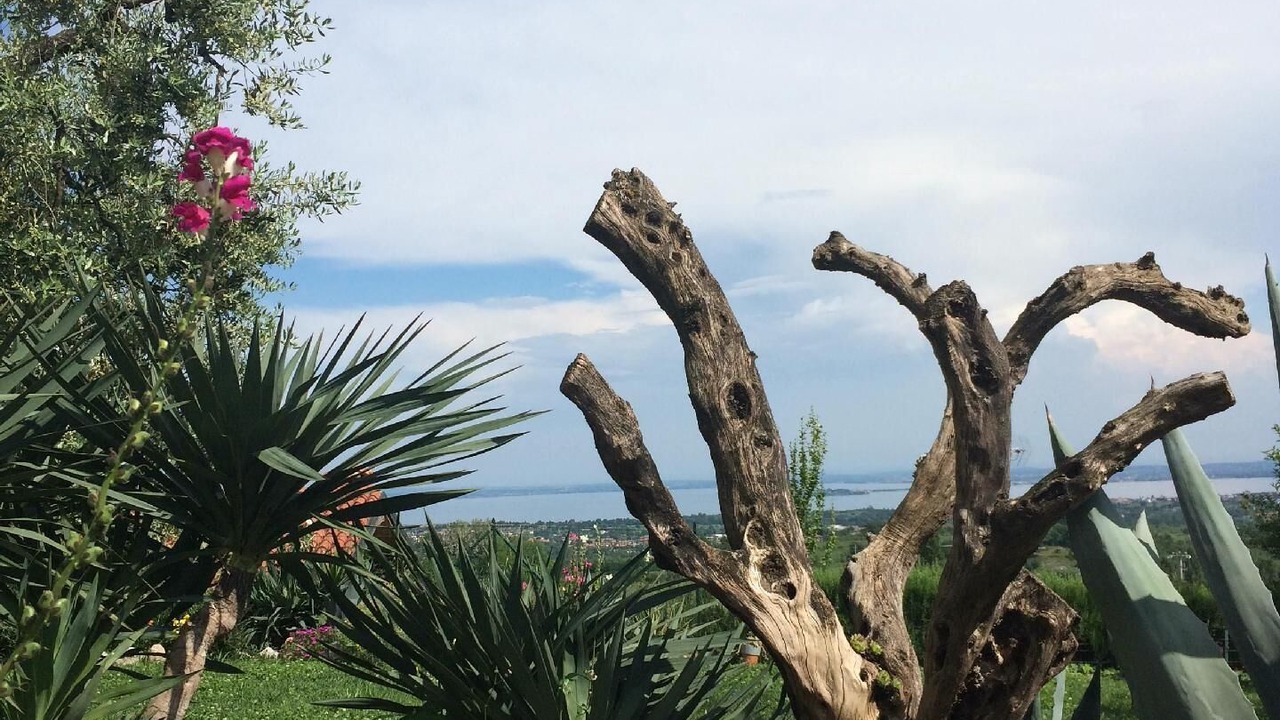 Photo of Outdoor in Castello