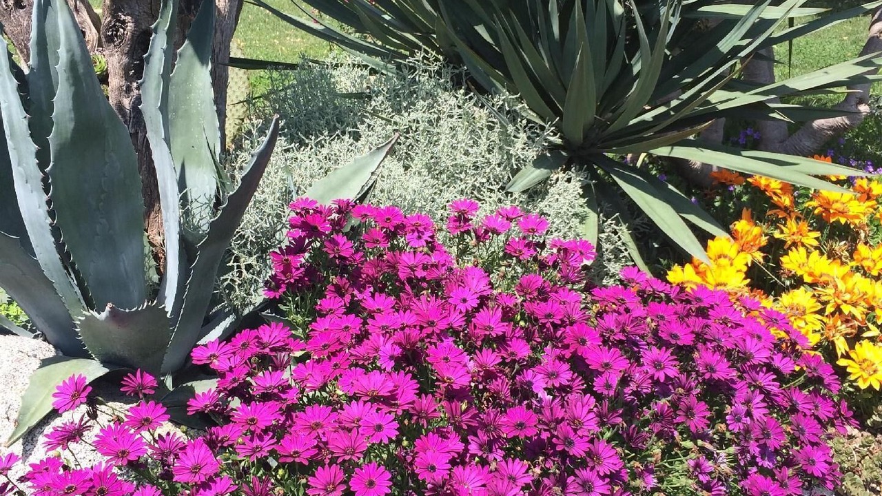 Photo of Outdoor in Castello