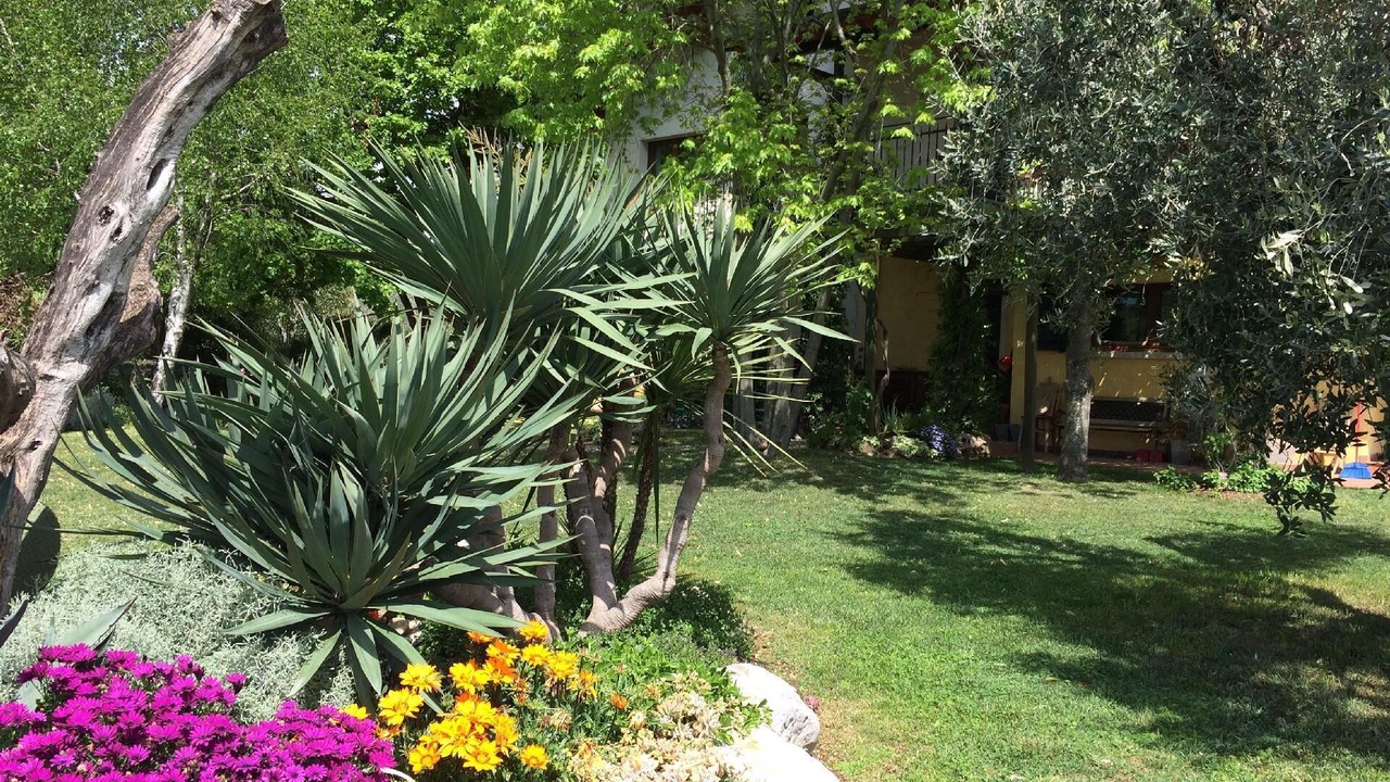 Photo of Outdoor in Castello
