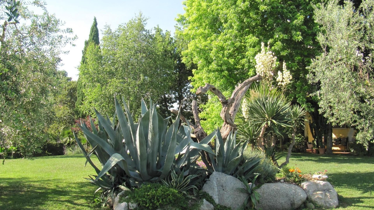 Photo of Outdoor in Castello