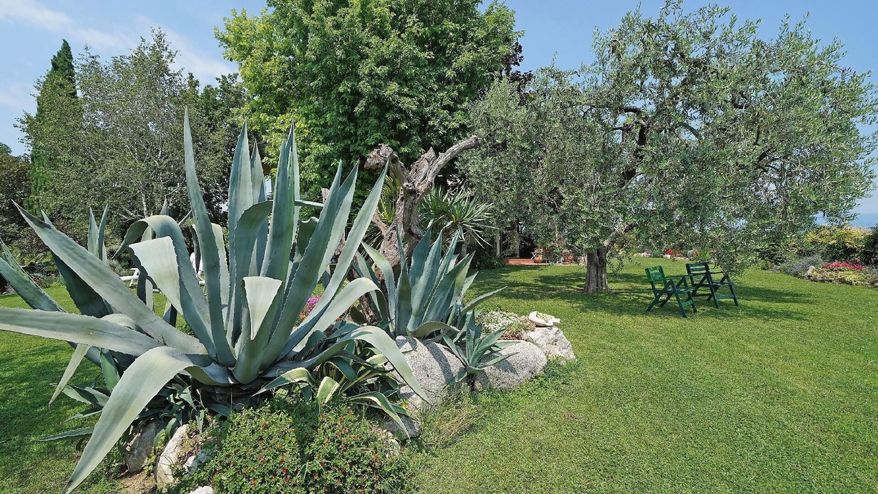 Photo of Outdoor in Castello