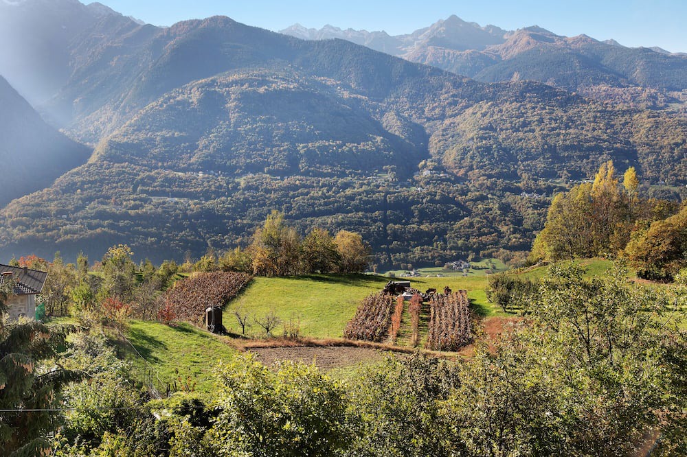 Photo of Others in Teglio