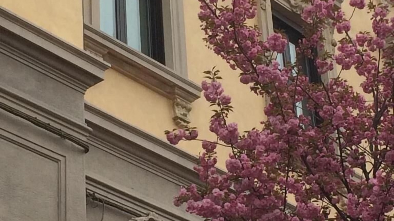 Photo of Outdoor in Gallarate