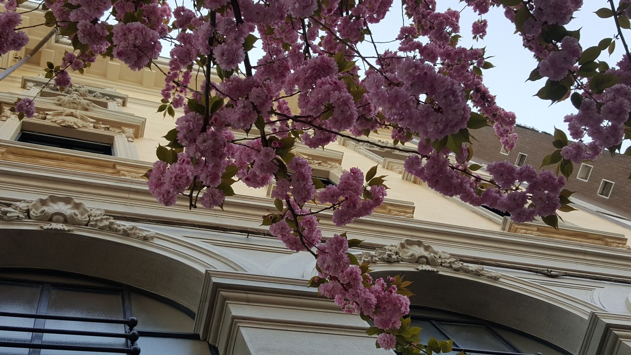 Photo of Others in Gallarate