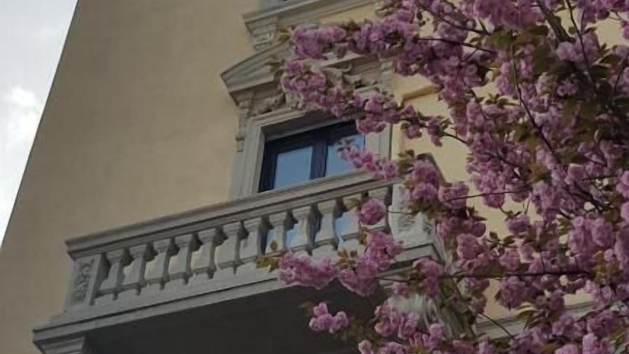 Photo of Outdoor in Gallarate