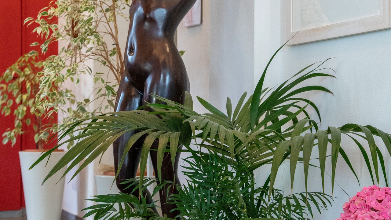 Photo of Others in Gallarate
