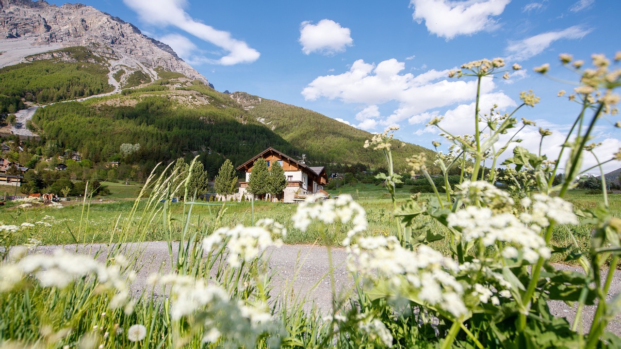 Photo of Outdoor in Bormio