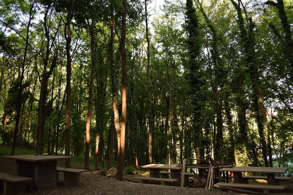 Photo of Outdoor in Almenno San Salvatore