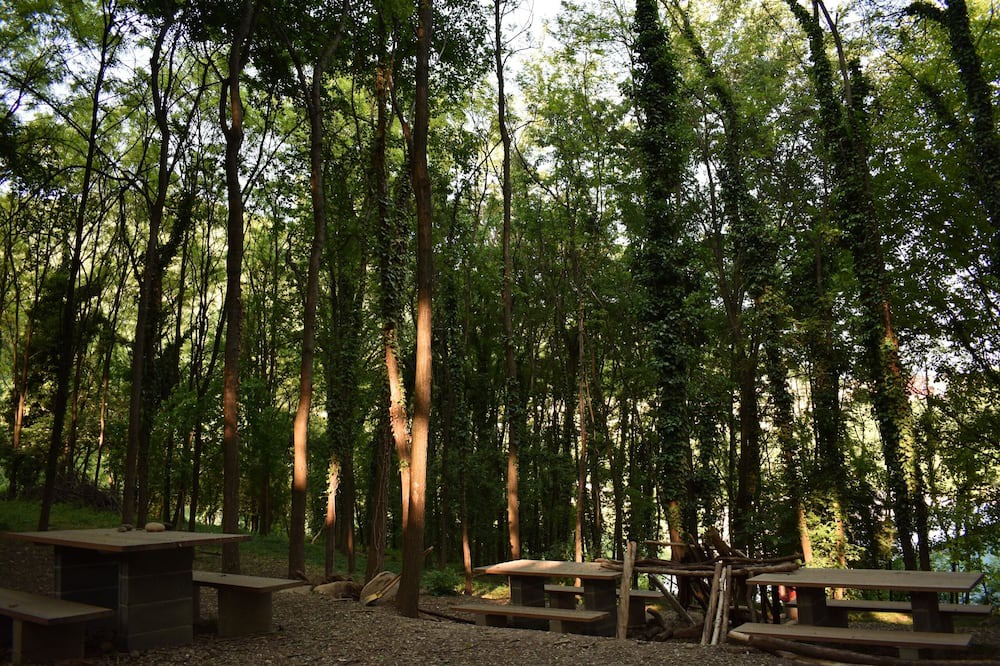 Photo of Outdoor in Almenno San Salvatore
