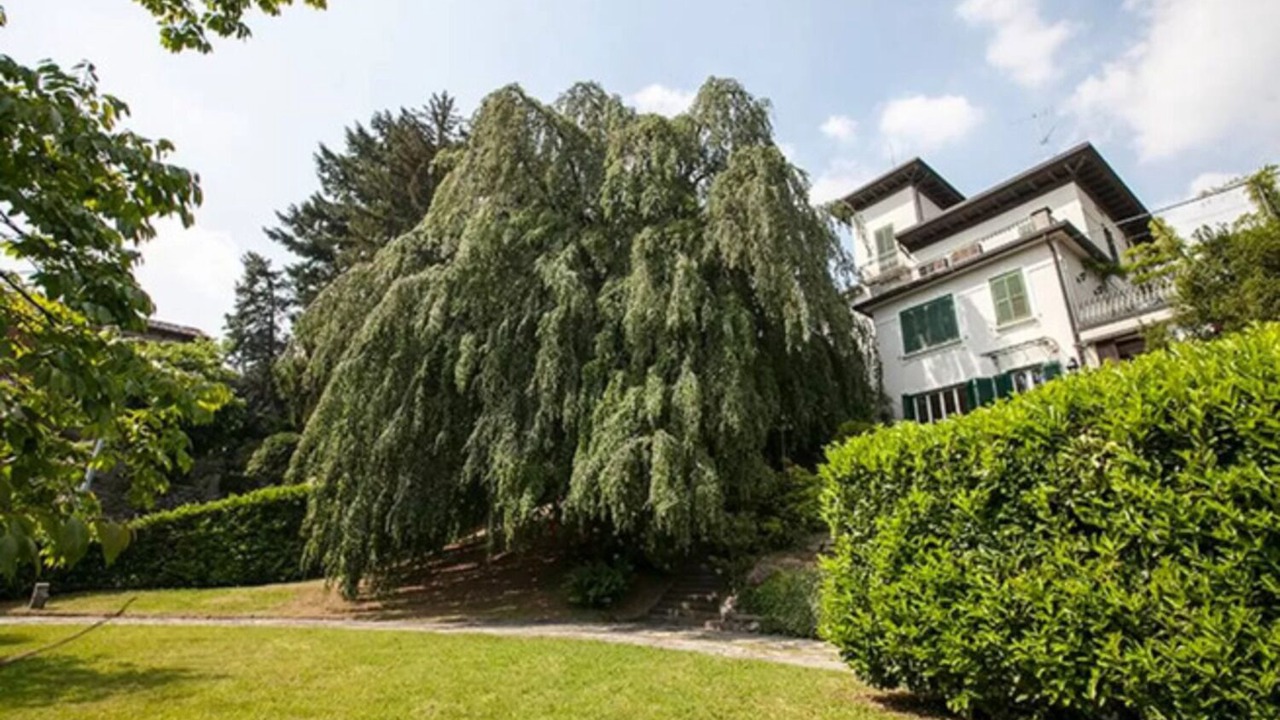 Photo of Outdoor in Brunate