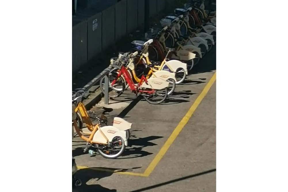 Photo of Others in Niguarda